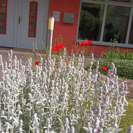 Ferienwohnung Am Schloss Apartman *